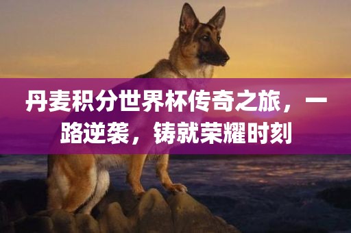 丹麦积分世界杯传奇之旅，一路逆袭，铸就荣耀时刻