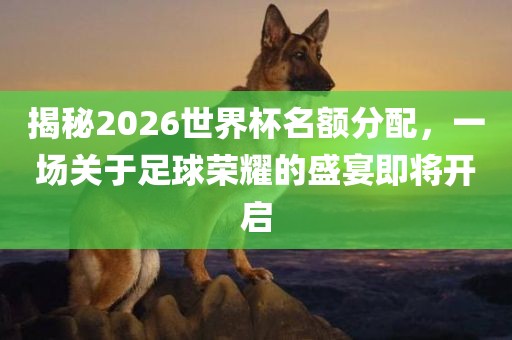 揭秘2026世界杯名额分配，一场关于足球荣耀的盛宴即将开启眉山市正发家政服务有限公司