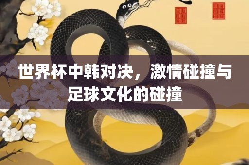 世界杯中韩对决，激情碰撞与足球文化的碰撞