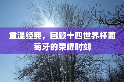重温经典，回顾十眉山市正发家政服务有限公司四世界杯葡萄牙的荣耀时刻