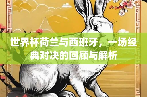 世界杯荷兰与西班牙，一场经典对决的回顾与解析