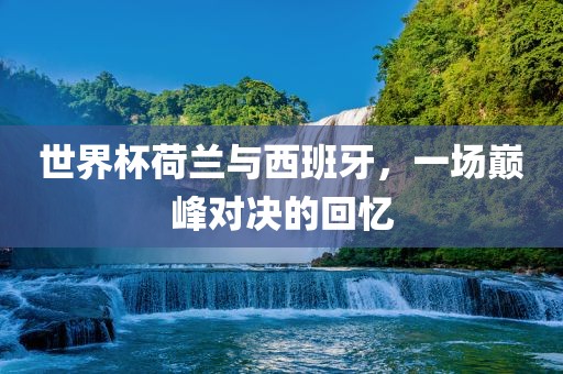 世界杯荷兰与西班牙，一场巅峰对决的回忆眉山市正发家政服务有限公司