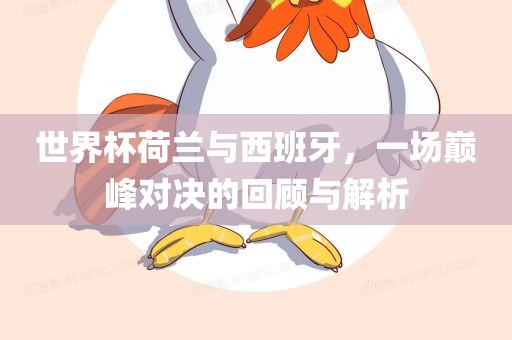 世界杯荷兰与西班牙，一场巅峰对决的回顾与解析