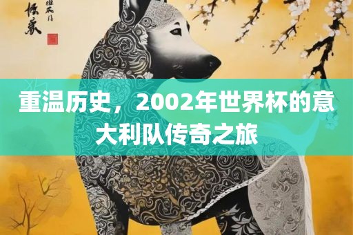 重温历史，2002年世界杯的意大利队传奇之旅眉山市正发家政服务有限公司