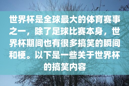 世界杯是全球最大的体育赛事之一，除了足球比赛本身，世界杯期间也有很多搞笑的瞬间和梗。以下是一些关于世界杯的搞笑内容
