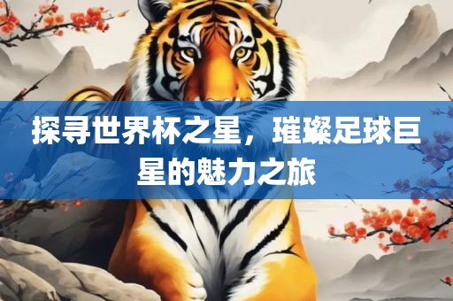 探寻世界杯之星，璀璨足球巨星的魅力之旅眉山市正发家政服务有限公司