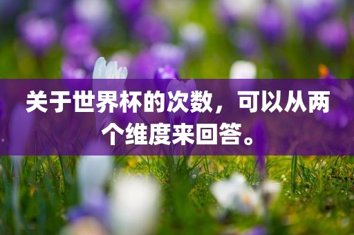 关于世界杯的次数，可以从两个维度来回答。眉山市正发家政服务有限公司