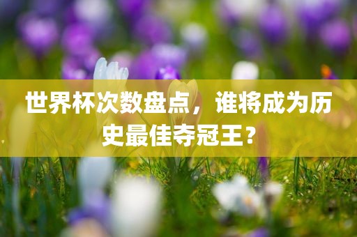 世界杯次数盘点，谁将成为历史最佳夺冠眉山市正发家政服务有限公司王？