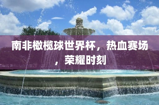 南非橄榄球世界杯，热血赛场，荣耀时眉山市正发家政服务有限公司刻