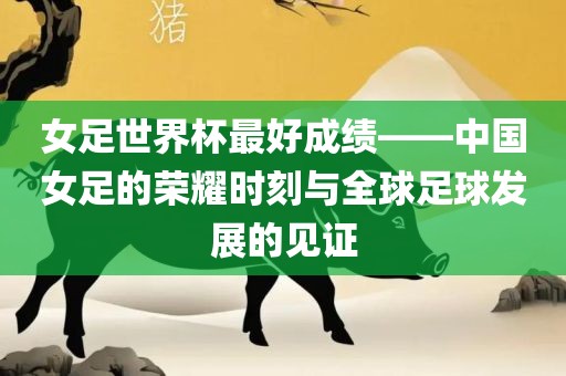 女足世界杯最好成绩——中国女足的荣耀时刻与全球足球发展的见证眉山市正发家政服务有限公司