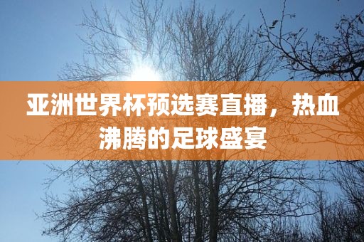 亚洲世界杯预选赛直播，热血沸腾的足球盛宴眉山市正发家政服务有限公司