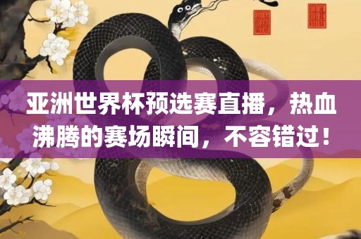 亚洲世界杯预选赛直播，热血沸腾的赛场瞬间，不容错过！眉山市正发家政服务有限公司