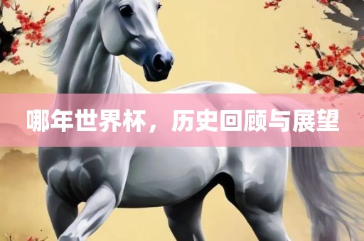 哪年世界杯，历史回顾与展望