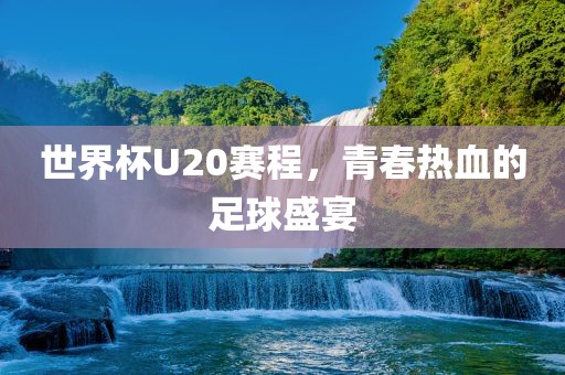 世界杯U20赛程，青春热血的足球盛宴