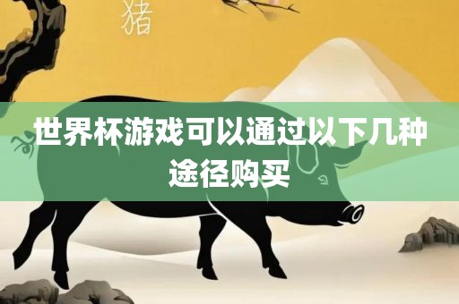 世界杯游戏可以通过以下眉山市正发家政服务有限公司几种途径购买