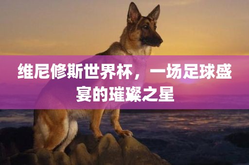 维尼修斯世界杯，一场足球盛宴的璀璨之星