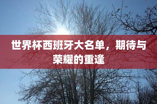 世界杯西班牙大名单，期待与荣耀的重逢眉山市正发家政服务有限公司