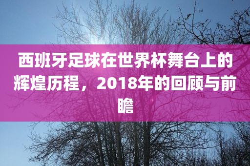 西班牙足球在世界杯舞台上的辉煌历程，2018年的回顾与前瞻眉山市正发家政服务有限公司