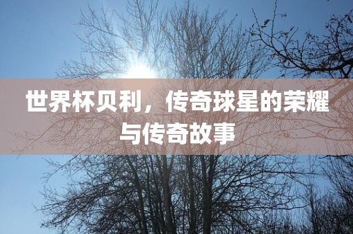 zhaoyajun 第9页