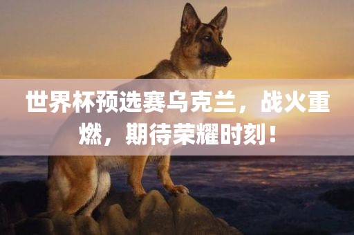 世界杯预选赛乌克兰，战火重燃，期待荣耀时刻！眉山市正发家政服务有限公司
