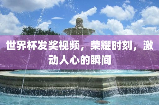世界杯发奖视频，荣耀时刻，激动人心的瞬间眉山市正发家政服务有限公司