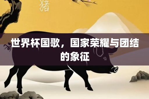 世界杯国歌，国家荣耀与团结的象征眉山市正发家政服务有限公司