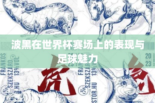 波黑在世界杯赛场上的表现与足球魅力