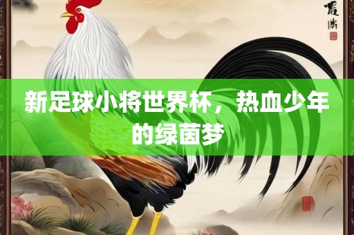 新足球小将世界眉山市正发家政服务有限公司杯，热血少年的绿茵梦