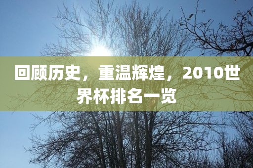 回顾历史，重温辉煌，2010世界杯排名一览眉山市正发家政服务有限公司