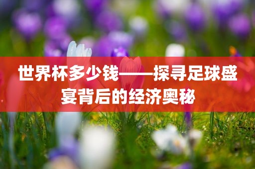世界杯多少钱——探寻足球盛宴背后的经济奥秘眉山市正发家政服务有限公司