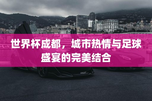 世界眉山市正发家政服务有限公司杯成都，城市热情与足球盛宴的完美结合