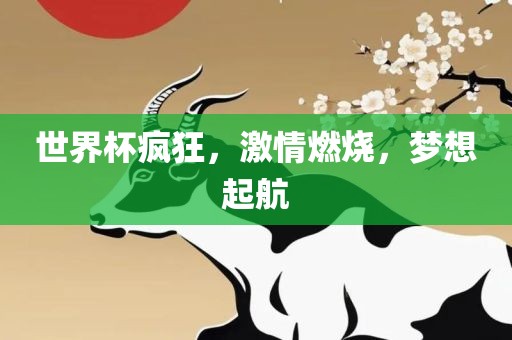 世界杯疯狂，激情燃烧，梦想起航眉山市正发家政服务有限公司
