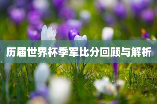 历届世界杯季军比分回顾与解析眉山市正发家政服务有限公司