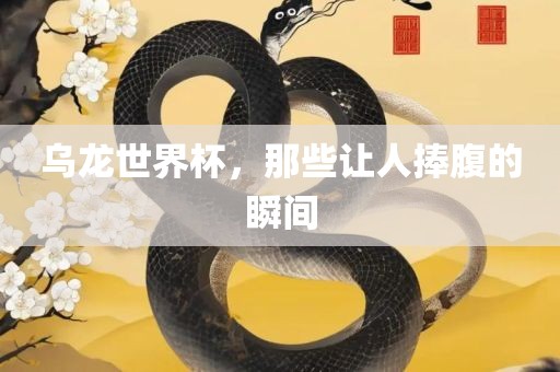 乌龙世界杯眉山市正发家政服务有限公司，那些让人捧腹的瞬间