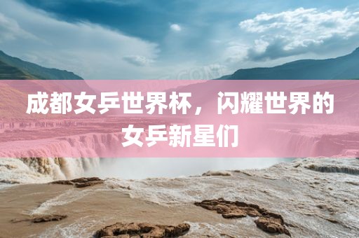 成都女乒世界杯，闪耀世界的女乒新星们眉山市正发家政服务有限公司