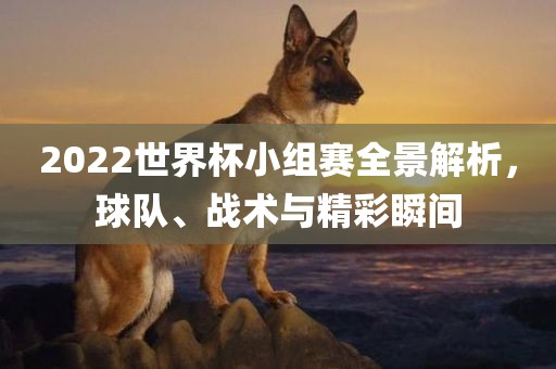 2022世界杯小组赛全景解析，球队、战术与精彩瞬间眉山市正发家政服务有限公司