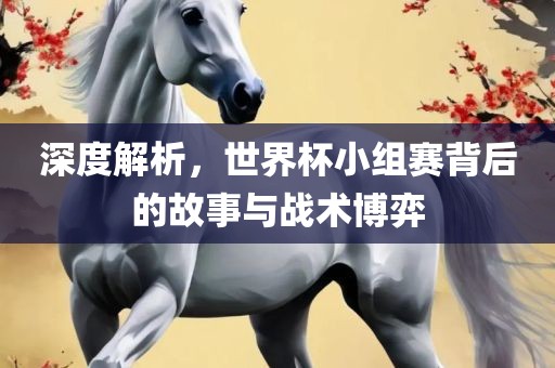 深度解析，世界杯小组赛背后的故事与战术博弈眉山市正发家政服务有限公司
