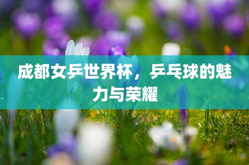 成都女乒世界杯，乒乓球的魅力与荣耀眉山市正发家政服务有限公司