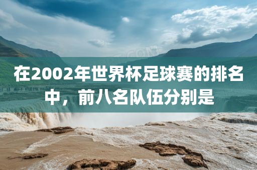 在2002年世界杯足球赛的排名中，前八名队伍分别是眉山市正发家政服务有限公司
