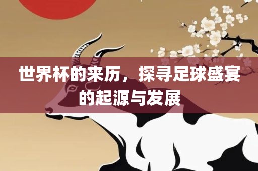 世界杯的来历，探寻足球盛宴的起源与发展眉山市正发家政服务有限公司