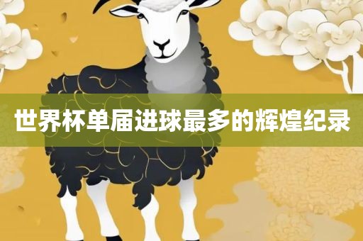 世界杯单届进球最多的辉煌纪录眉山市正发家政服务有限公司