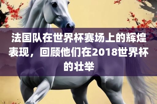法国队在世界杯赛场上的辉煌表现，回顾他们在2018世界杯的壮举眉山市正发家政服务有限公司