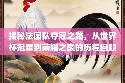 揭秘法国队夺冠之路，从世界杯冠军到荣耀之巅的历程回顾眉山市正发家政服务有限公司