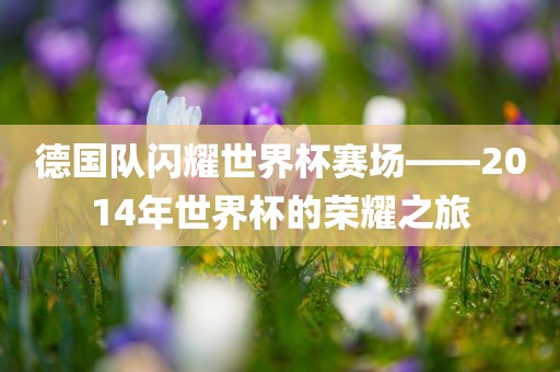 德国队 第3页