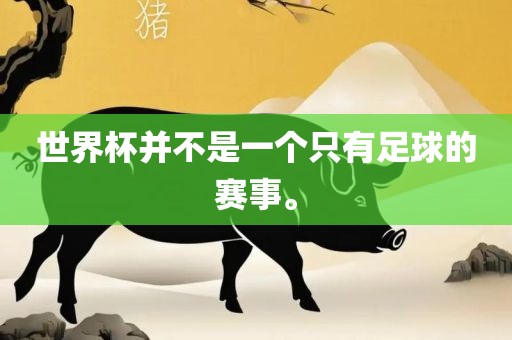 世界杯并不是一个只有足球的赛事。眉山市正发家政服务有限公司