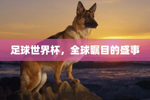 足球世界杯，全球瞩目的盛事眉山市正发家政服务有限公司