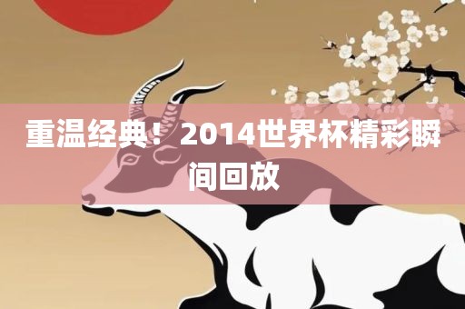 重温经典！2014世界杯精彩瞬间回放