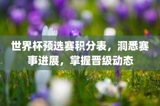 世界杯预选赛积分表，洞悉赛事进展，掌握晋级动态眉山市正发家政服务有限公司