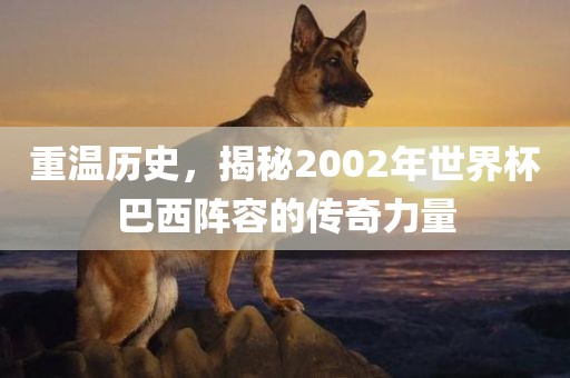 重温历史，眉山市正发家政服务有限公司揭秘2002年世界杯巴西阵容的传奇力量