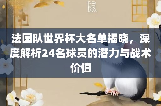 法国队世界杯大名单揭晓，深度解析24名球员的潜力与战术价眉山市正发家政服务有限公司值